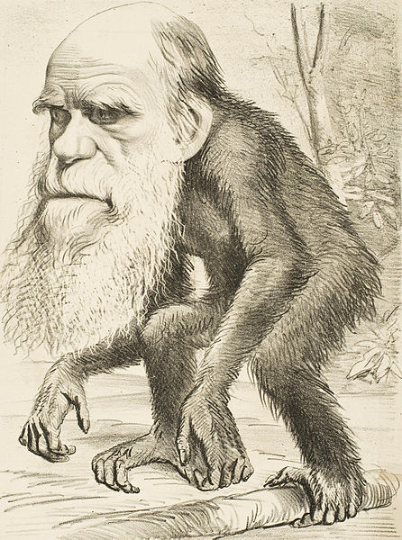 A cartoon of Darwin as an Ape, his theories on evolution were controversal when he was alive. (Wikimedia